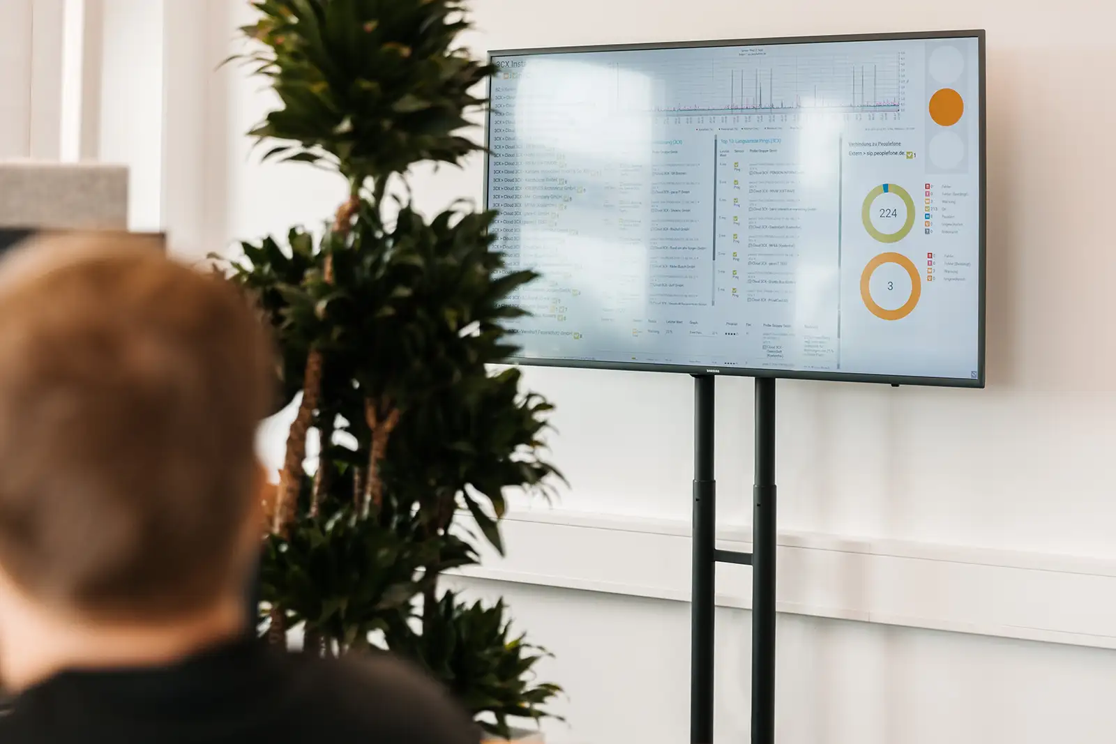 pace-IT Köln – Arbeitsplätze mit ergonomischem Setup und kreativer Wandgestaltung Helle, modern eingerichtete Arbeitsplätze im pace-IT Büro Köln mit ergonomischen Stühlen und farblich gestalteter Wand