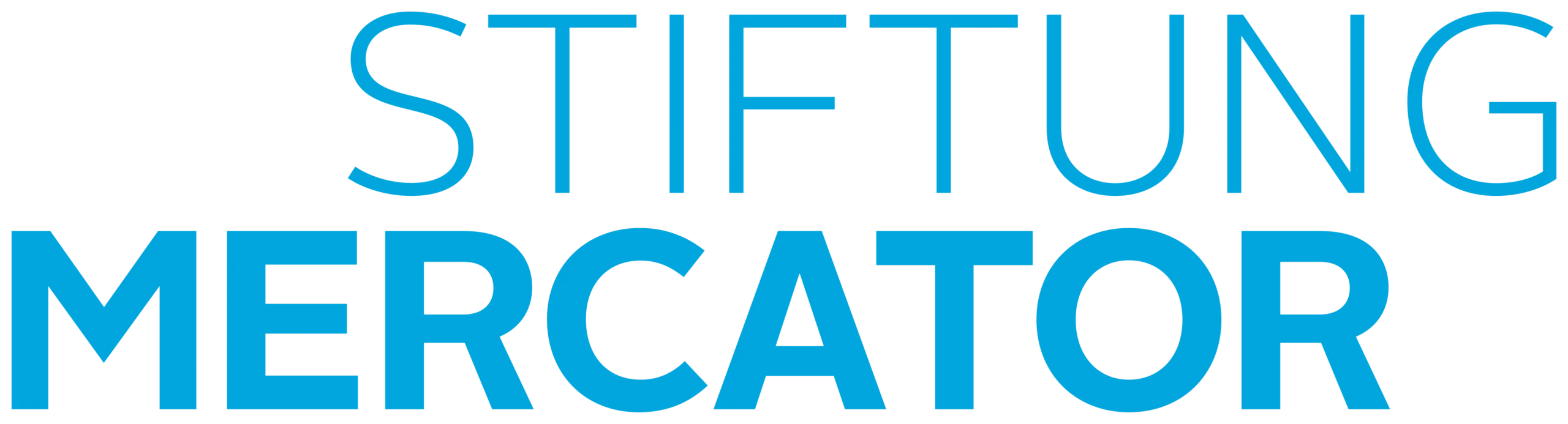 Stiftung Mercator Logo